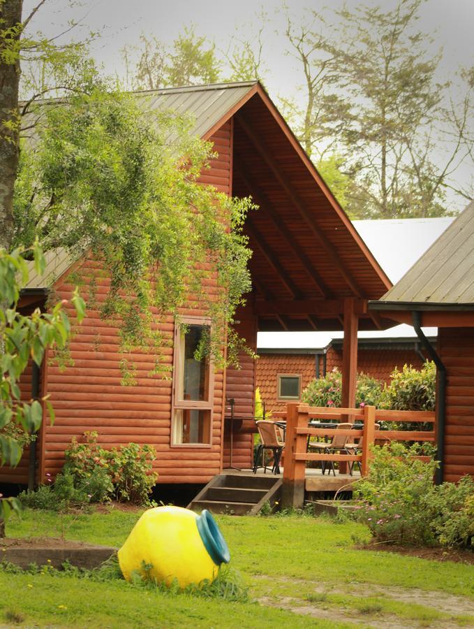 Cabanas Risso Villa Villarrica Eksteriør bilde