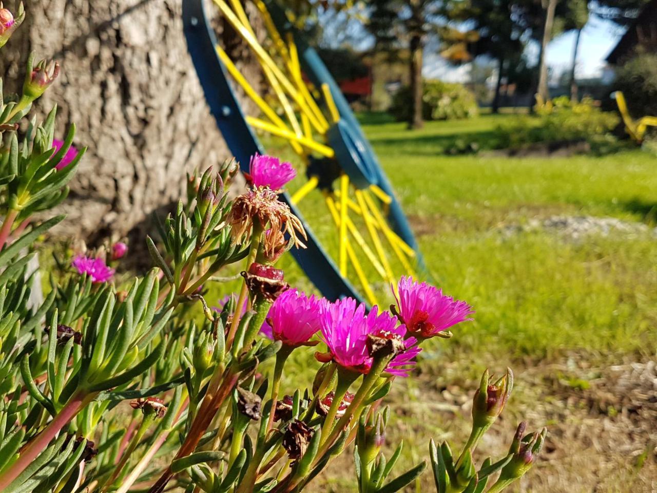 Cabanas Risso Villa Villarrica Eksteriør bilde
