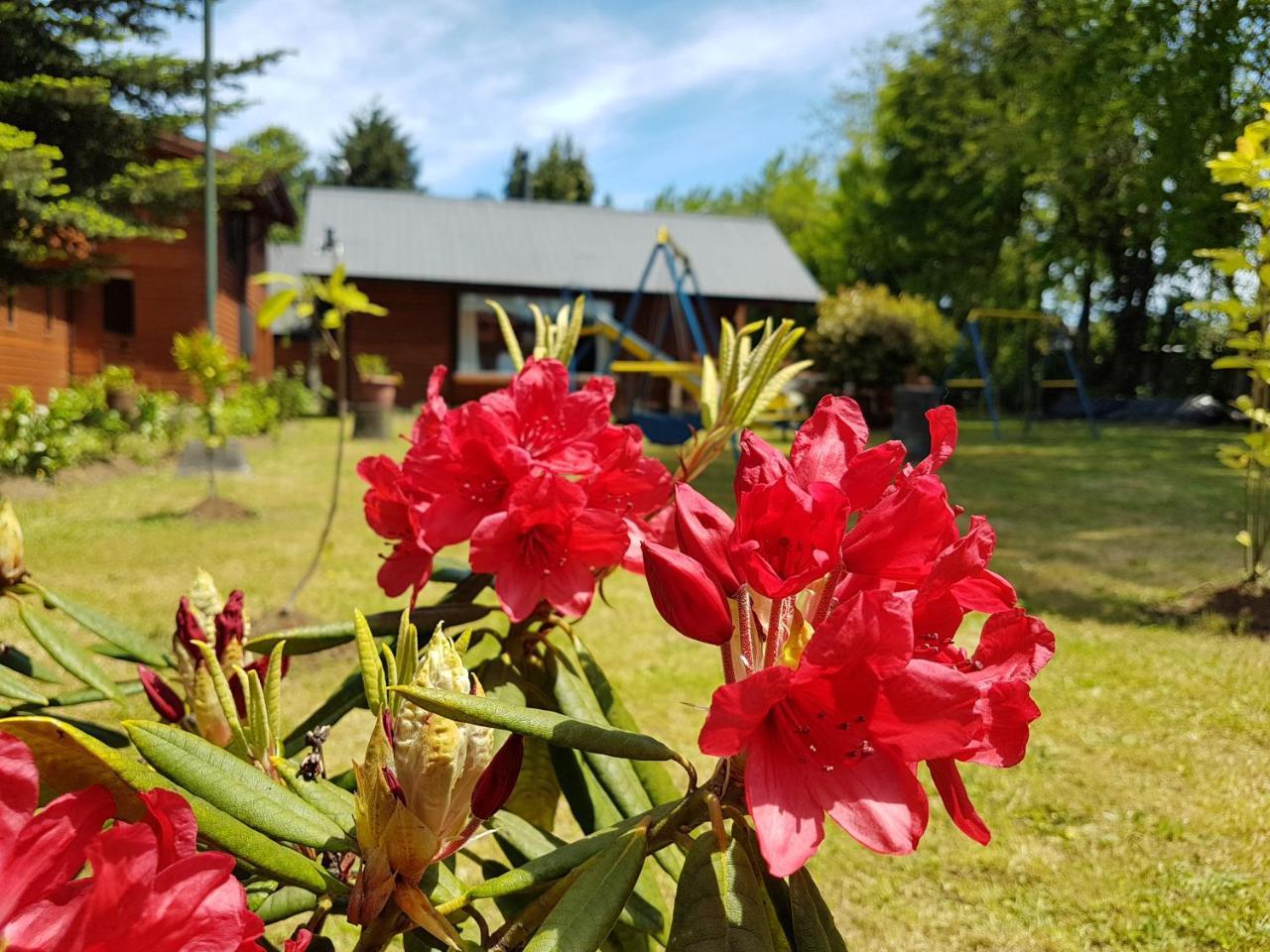 Cabanas Risso Villa Villarrica Eksteriør bilde