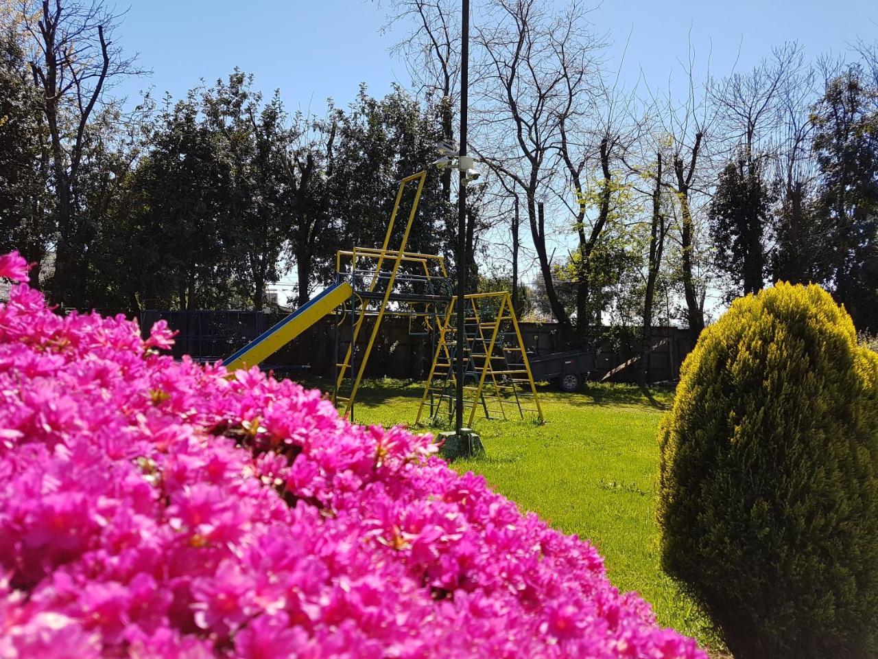Cabanas Risso Villa Villarrica Eksteriør bilde